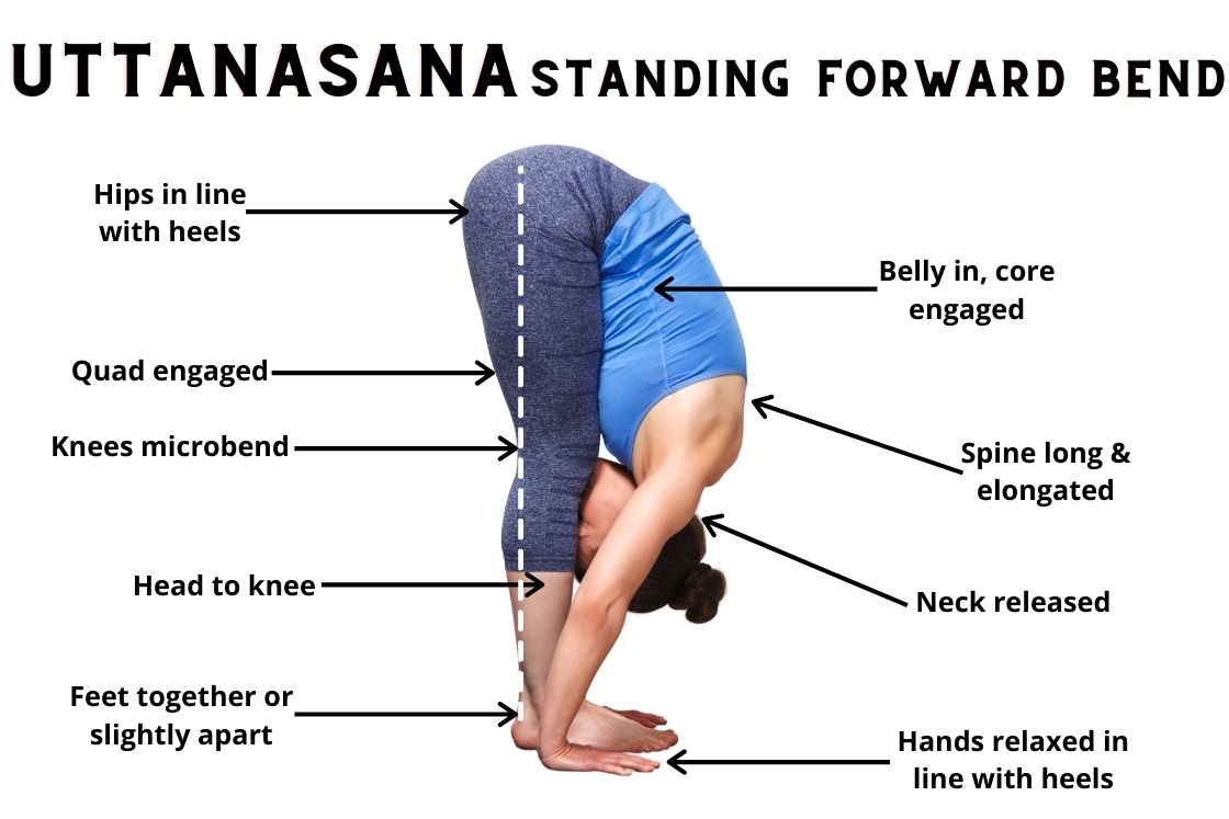 Uttanasana - Standing Forward Bend